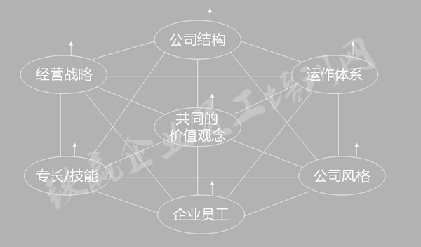 管理機構培訓公司盧文平_副本.png