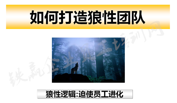 重慶管理咨詢培訓(xùn)公司_副本.png